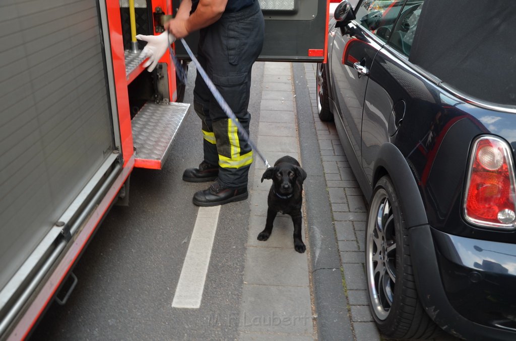 Welpen im Drehkranz vom KVB Bus eingeklemmt Koeln Chlodwigplatz P13.JPG